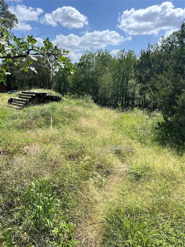 715 N Silver St, Burnet, TX 78611