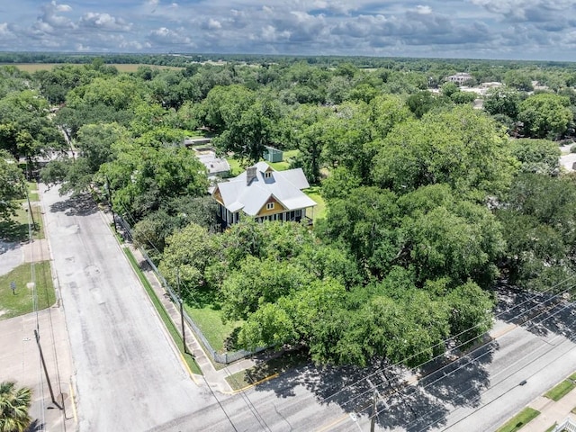 624 Saint Louis St, Gonzales, TX 78629 - bird's eye view of a forest