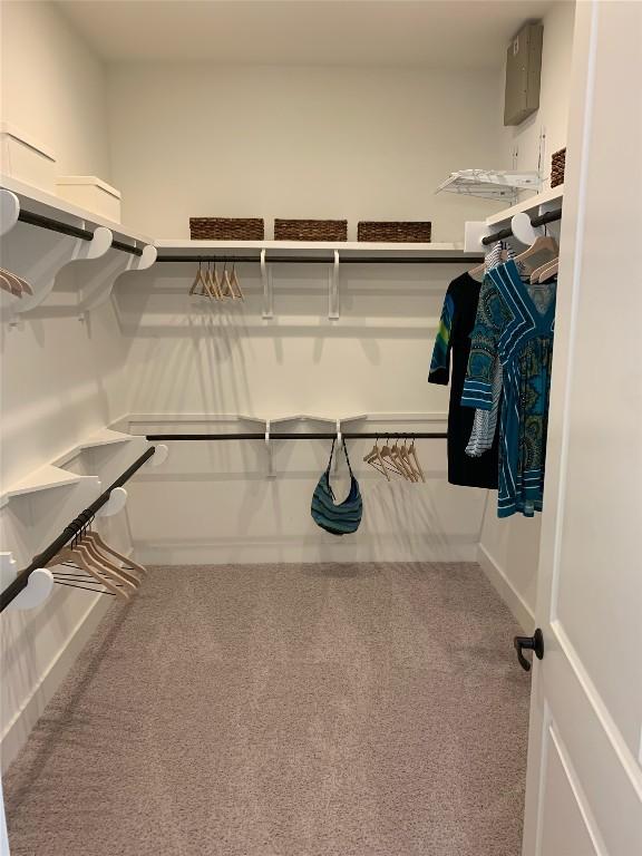 4106 Paleleaf Path, Bee Cave, TX 78738 - spacious closet with carpet