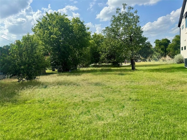 711 W 10th St, Georgetown, TX 78626 - photo 8