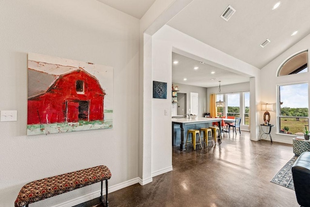 8054 Stone Mountain Trl, San Marcos, TX 78666 - hallway featuring concrete floors, recessed lighting, and lofted ceiling