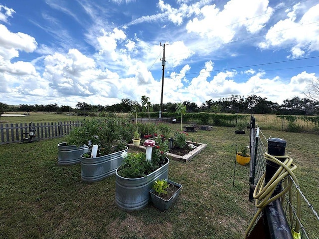 8054 Stone Mountain Trl, San Marcos, TX 78666 - view of yard with a vegetable garden