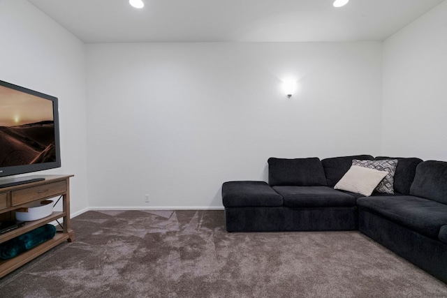 207 Dry Creek Rd, Austin, TX 78737 - living room with carpet flooring and recessed lighting