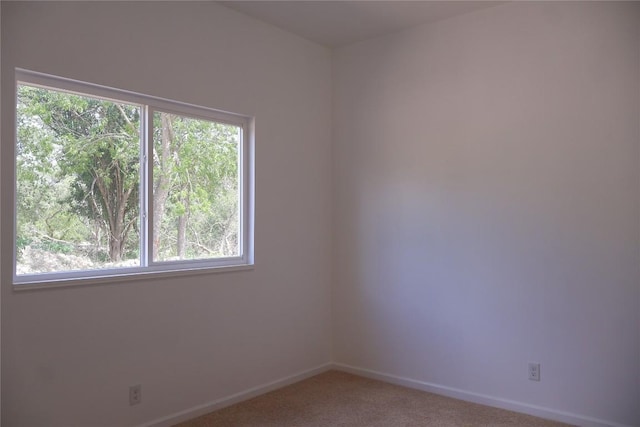 411 Longcope Loop, San Marcos, TX 78666 - photo 23