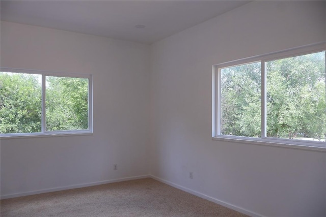 411 Longcope Loop, San Marcos, TX 78666 - photo 18