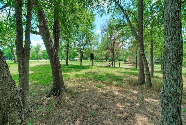 906 Water St, Manor, TX 78653 - photo 21