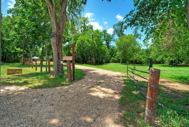906 Water St, Manor, TX 78653 - photo 4