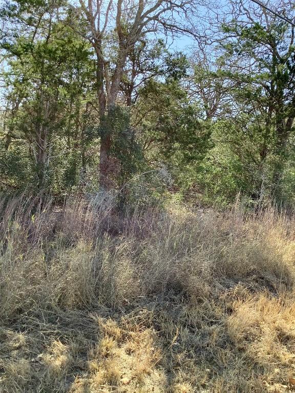 211 Big Bow, Smithville, TX 78957