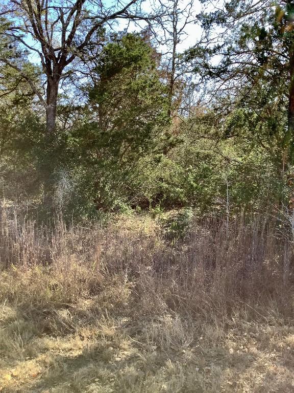211 Big Bow, Smithville, TX 78957