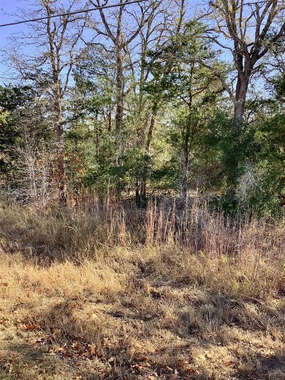 211 Big Bow, Smithville, TX 78957
