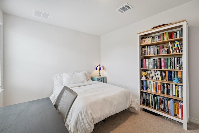 3003 Salvidar Bnd, Austin, TX 78728 - photo 31
