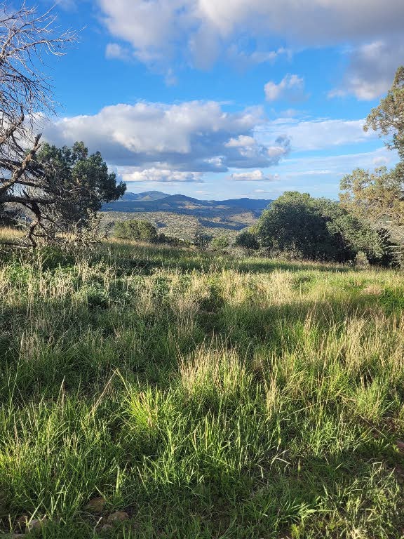 213 Circle C Ave, Fort Davis, TX 79734 - view of mountain backdrop