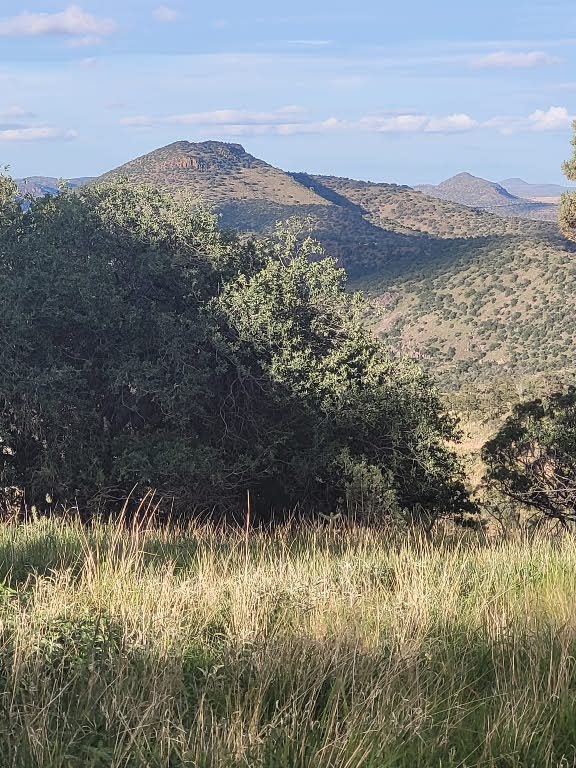 213 Circle C Ave, Fort Davis, TX 79734 - view of mountain background