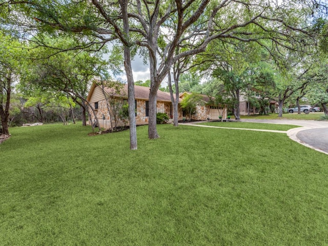 4506 Twisted Tree Cv, Austin, TX 78735 - view of front of home with a front lawn and stone siding