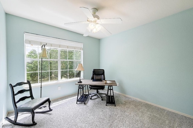 11812 Johnny Weismuller Ln, Austin, TX 78748 - photo 20