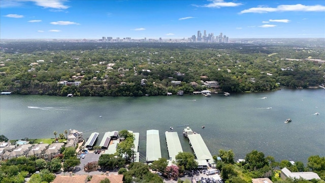 2212 Westlake Dr, Austin, TX 78746 - photo 36