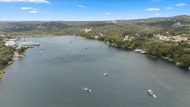 2212 Westlake Dr, Austin, TX 78746 - photo 37