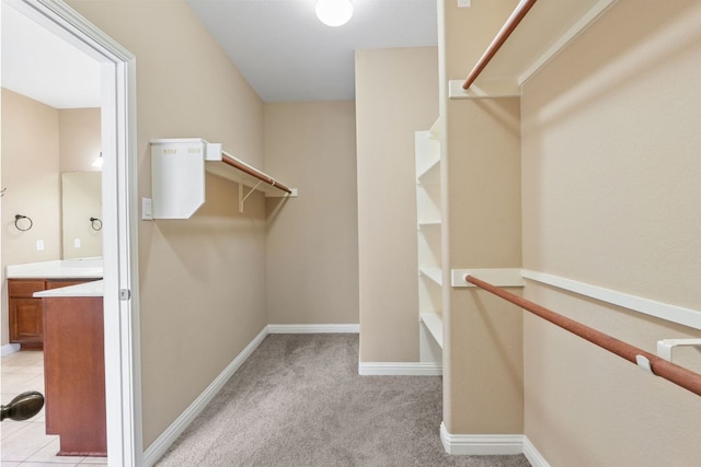 829 Zappa Dr, Cedar Park, TX 78613 - walk in closet featuring light colored carpet