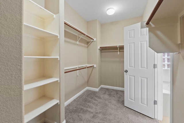829 Zappa Dr, Cedar Park, TX 78613 - photo 22