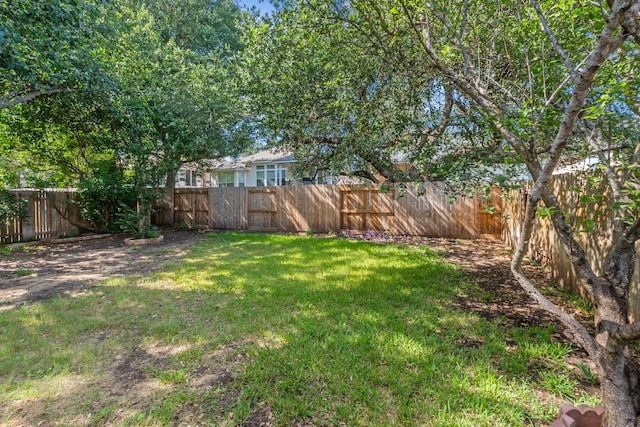 829 Zappa Dr, Cedar Park, TX 78613 - photo 32