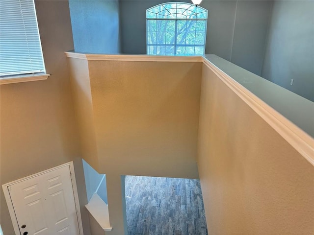 1501 Van Horn Dr, Round Rock, TX 78664 - photo 25