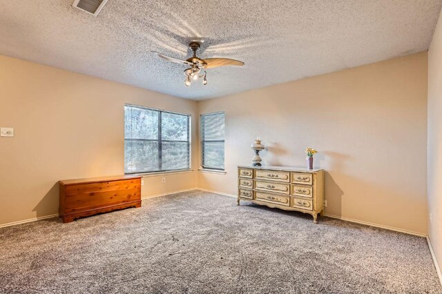 4513 Sidereal Dr, Austin, TX 78727 - photo 23