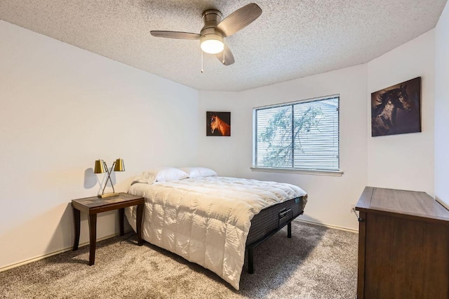 4513 Sidereal Dr, Austin, TX 78727 - photo 26