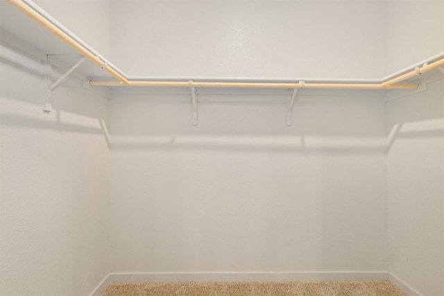 13804 Bavarian Forest Dr, Pflugerville, TX 78660 - spacious closet with carpet