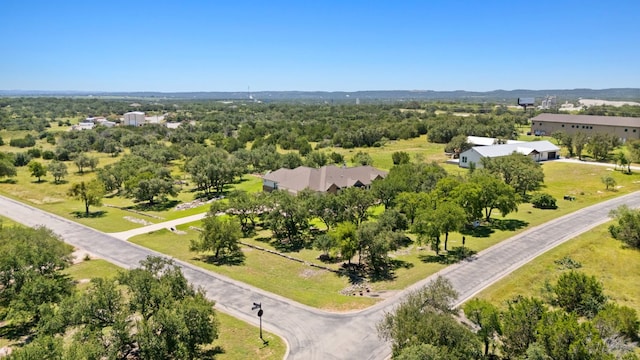 113 Vista View Trl, Spicewood, TX 78669 - photo 38