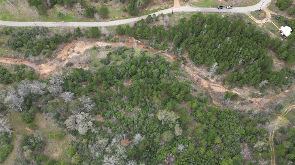 233 Winfield Thicket Rd, Bastrop, TX 78602