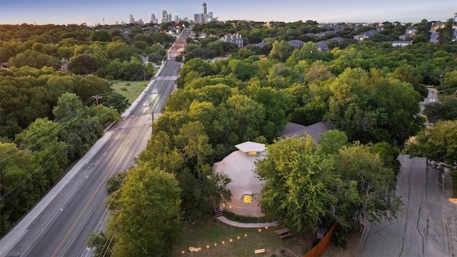 2602 Douglas St, Austin, TX 78741 - photo 3