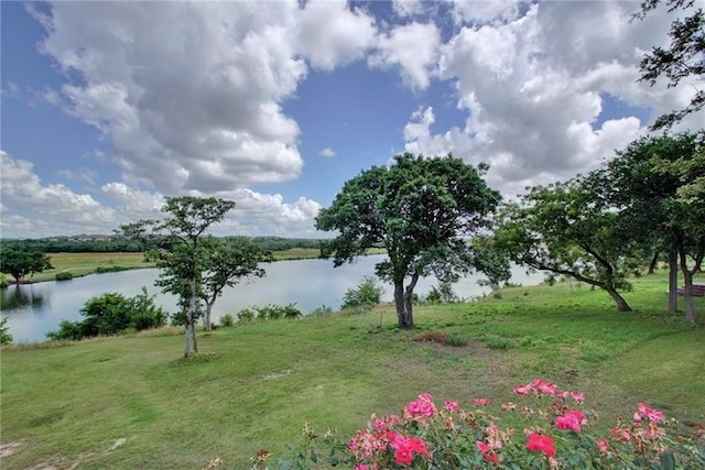 13920 Marathon Rd, Austin, TX 78717 - water view