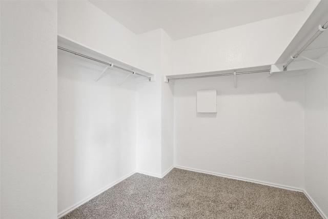 2017 Woodway Dr, Leander, TX 78641 - walk in closet with carpet flooring