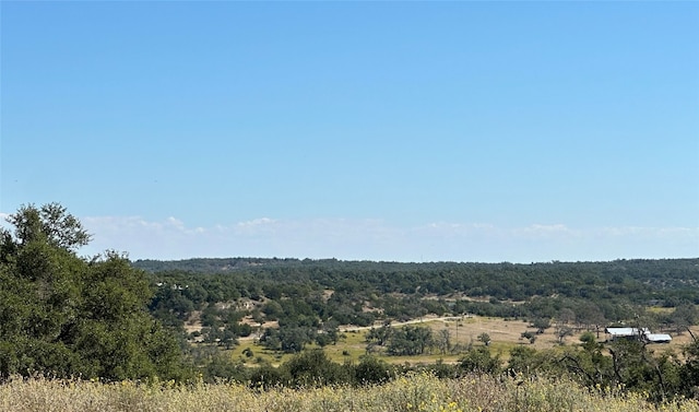 1058 Jacob Rd, Fredericksburg, TX 78624 - photo 6