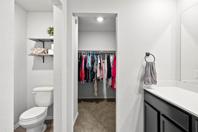 1037 Oxford Ln, Troy, TX 76579 - bathroom featuring vanity and a spacious closet