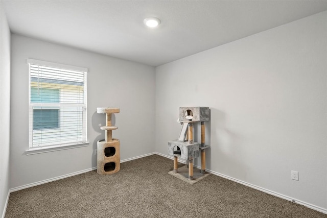 1037 Oxford Ln, Troy, TX 76579 - miscellaneous room with carpet and baseboards