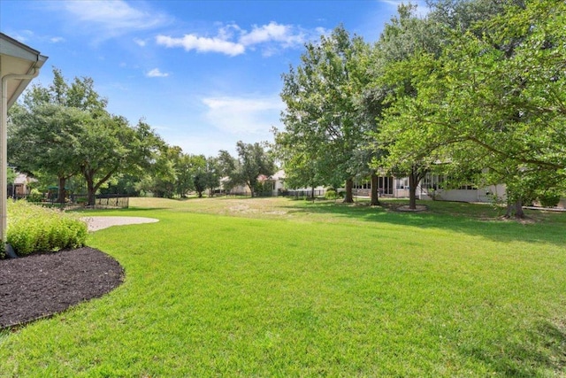 101 Goldenrod Way, Georgetown, TX 78633 - view of grassy yard