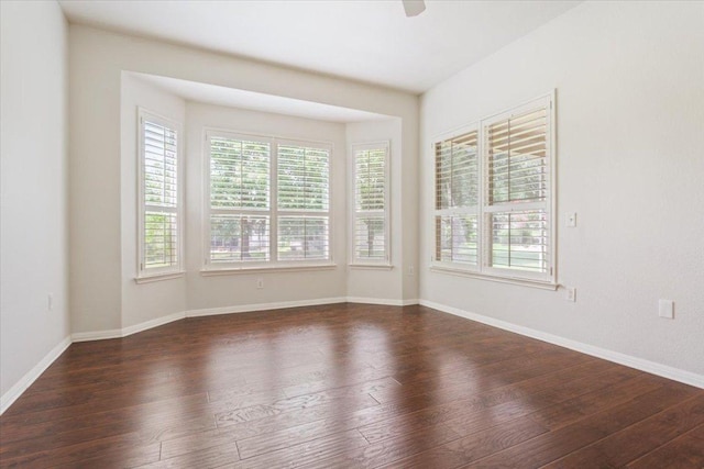 101 Goldenrod Way, Georgetown, TX 78633 - unfurnished room featuring dark wood-style flooring and a ceiling fan
