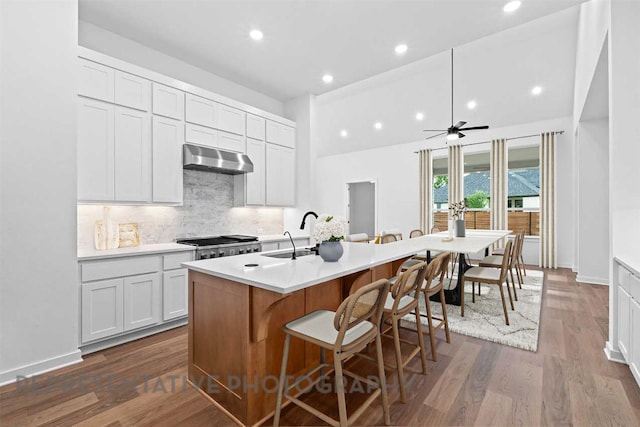 2113 Tobiano Trce, Georgetown, TX 78633 - kitchen with range hood, tasteful backsplash, a kitchen island with sink, a breakfast bar, and light countertops