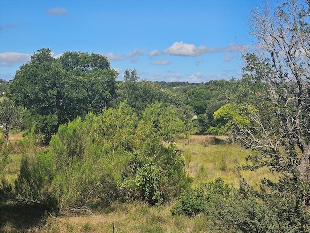 205 Waters View Ct, Dripping Springs, TX 78620 - photo 14