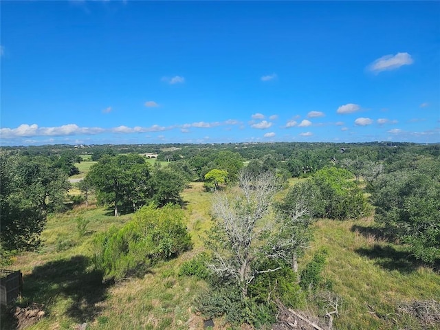 205 Waters View Ct, Dripping Springs, TX 78620 - photo 17