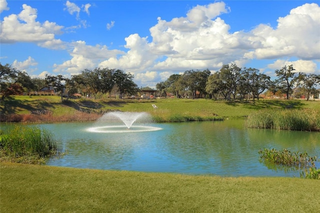 205 Waters View Ct, Dripping Springs, TX 78620 - photo 21
