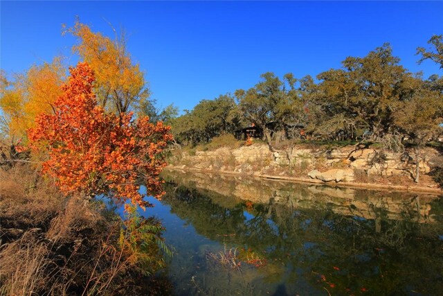 205 Waters View Ct, Dripping Springs, TX 78620 - photo 28