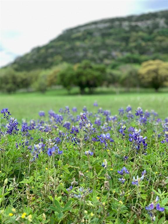 6098 N US Highway 83, Leakey, TX 78873