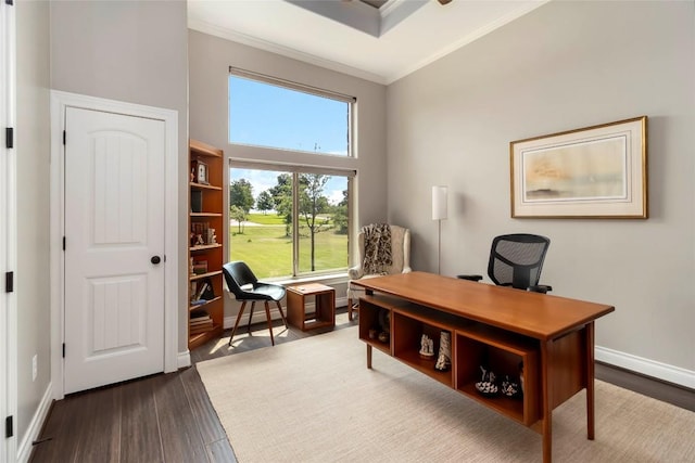 106 Packsaddle Dr, Bastrop, TX 78602 - office featuring ornamental molding, wood finished floors, and a towering ceiling