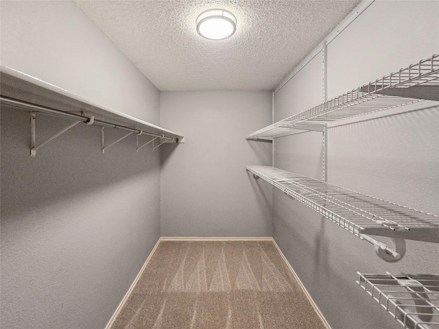 1318 Chalk Ln, Cedar Park, TX 78613 - spacious closet with carpet flooring