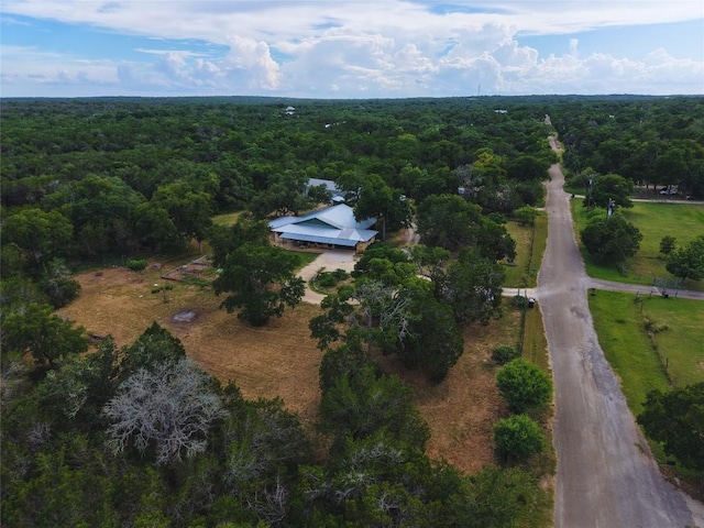700 Billie Brooks Ln, Driftwood, TX 78619 - photo 36