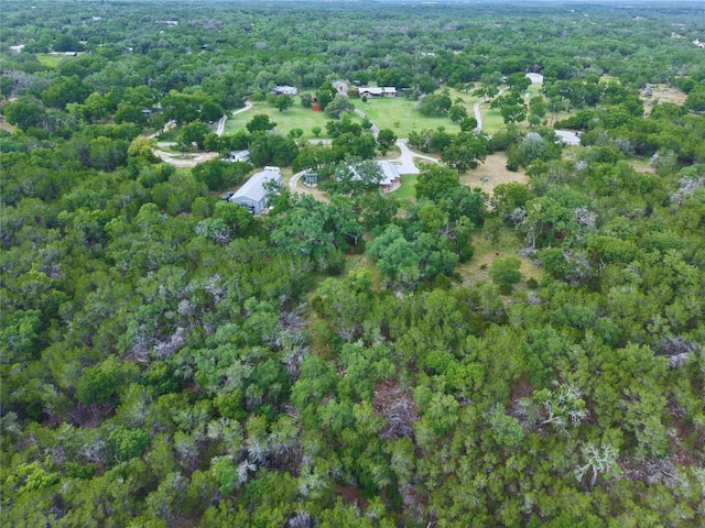 700 Billie Brooks Ln, Driftwood, TX 78619 - photo 40