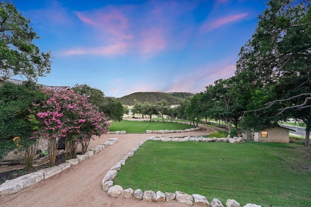 14305 Geronimo St, Leander, TX 78641 - yard at dusk featuring a mountain view and a yard