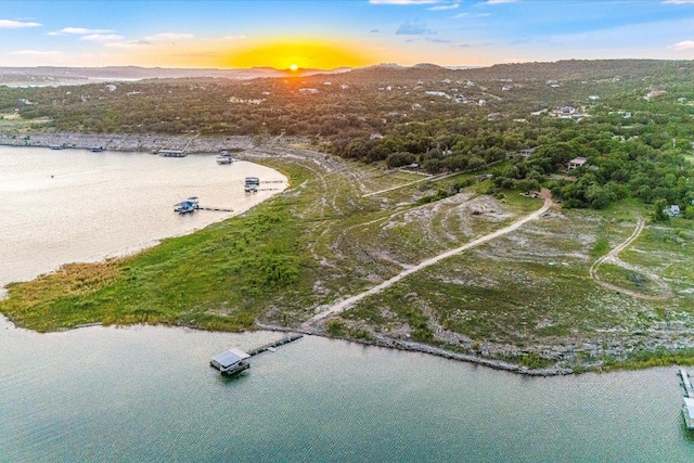 14305 Geronimo St, Leander, TX 78641 - bird's eye view of a nearby body of water